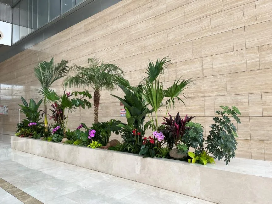 揭秘宁波北仑绿化养护，为城市添一抹绿！